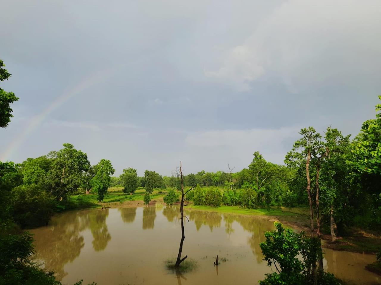 Emerald Tiger Retreat Tala  Luaran gambar