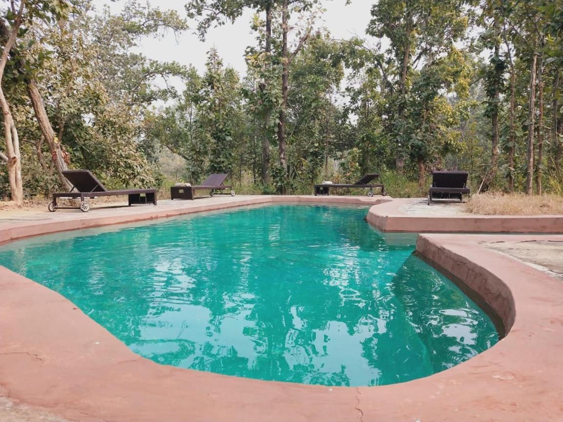 Emerald Tiger Retreat Tala  Luaran gambar