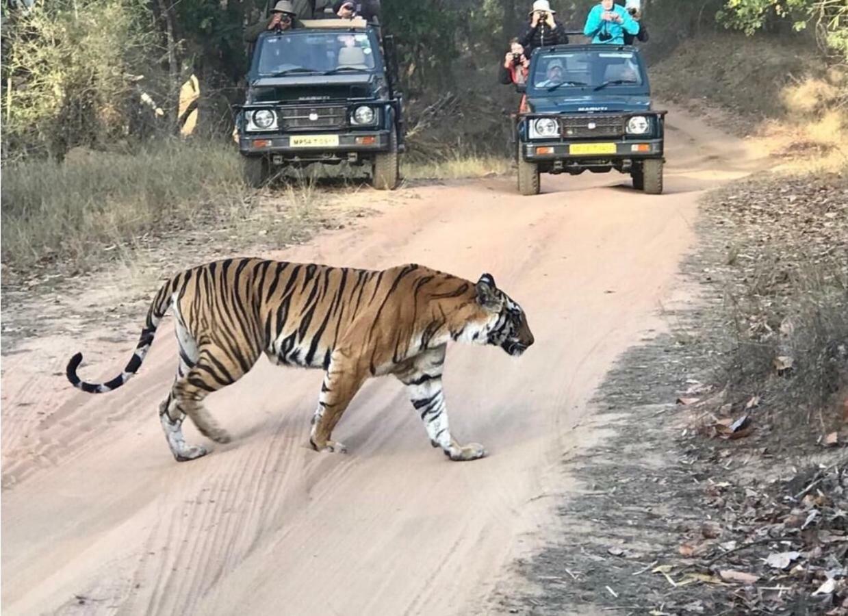 Emerald Tiger Retreat Tala  Luaran gambar